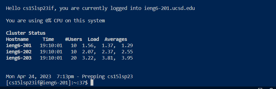 Remote Server Login Output